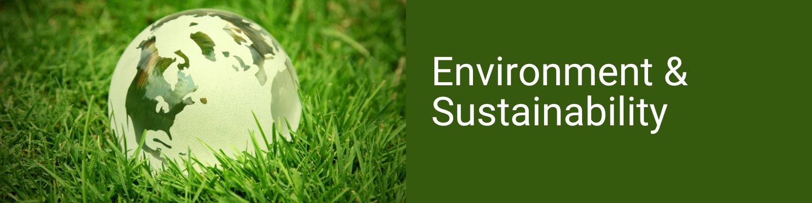 Environment & Sustainability